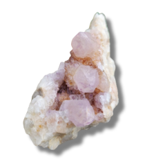 Cactus / Spirit Quartz