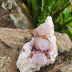 Cactus / Spirit Quartz