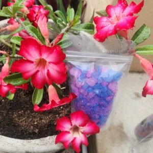 Aura Salts - Relationship salts (aka our Twin Flame)