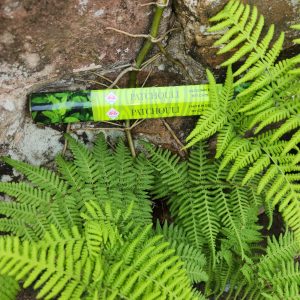 Patchouli Incense Sticks