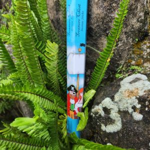 Treasure Chest Incense Sticks