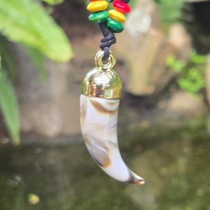 Tooth Necklace with small storage space