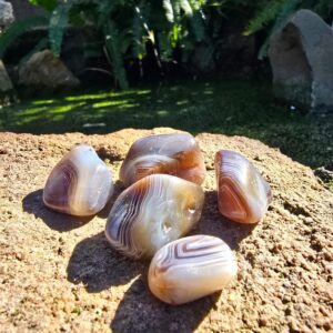 Botswana Agate Small Tumbled Crystal