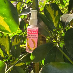 Good Luck Spray 50ml